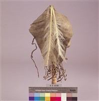 羽飾皮帽藏品圖，第15張